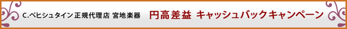 C.�x�q�V���^�C�� ���K�㗝�X �{�n�y�� �@�~�����v �L���b�V���o�b�N�L�����y�[��