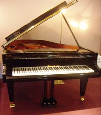 Boesendorfer �Ē��� 170